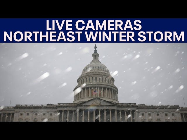 🔴 LIVE WEATHER CAMERAS 🔴❄️Northeast Winter Storm