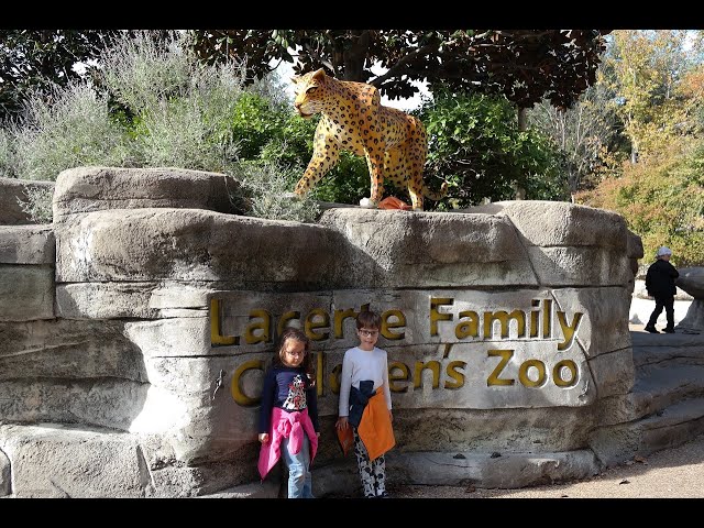 Feeding the Meerkats