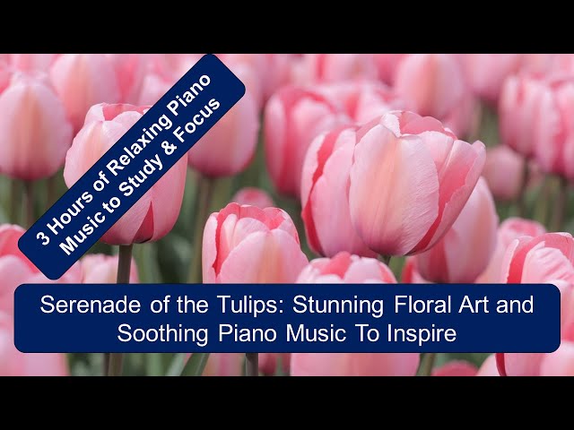 Serenade of the Tulips: 3 Hours of Soothing Piano Music and Colorful Floral Art Screensavers