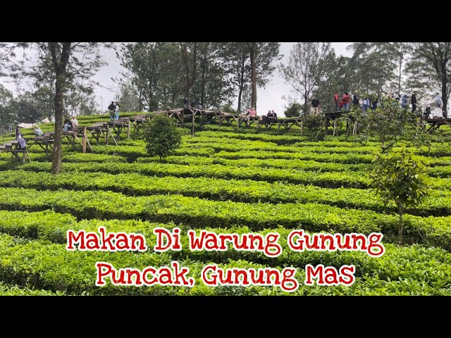 Warung Gunung Di Tengah Kebun Teh, Puncak ,Bogor