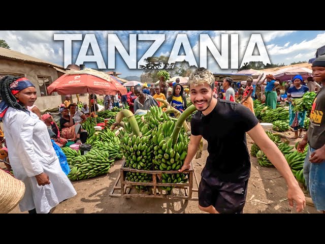 What is a typical day like in TANZANIA? | Street Markets in Africa