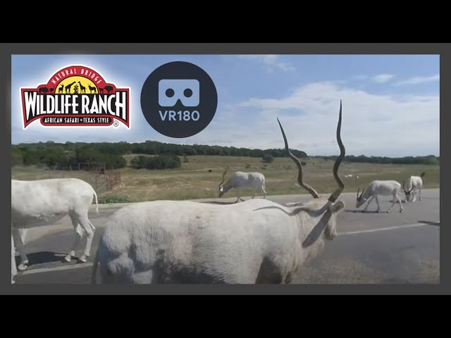 Natural Bridge Addax 180 3D