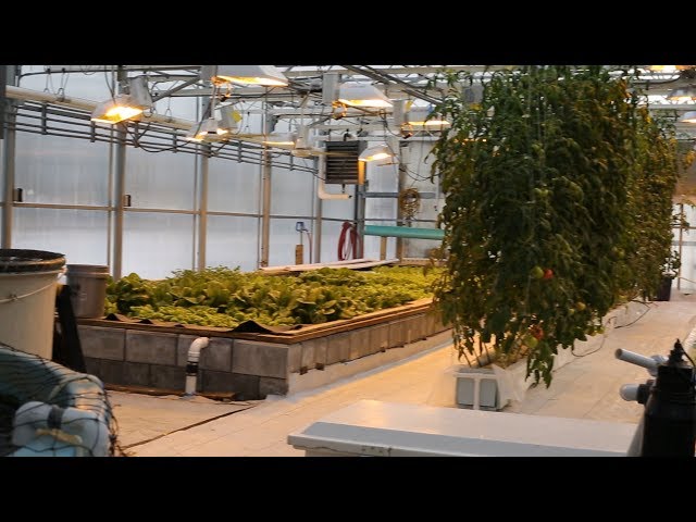 CEA Greenhouse 360