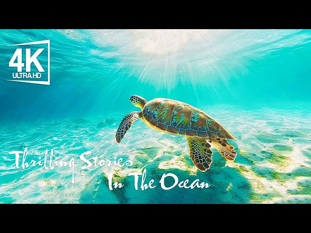 In The Vast Expanse Of The Pacific Ocean, A Team Of Marine Biologists Aboard The Research Vessel ...