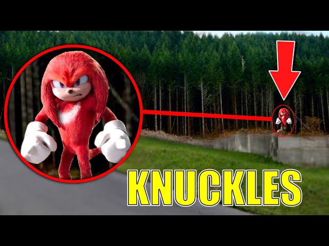 Drone Catches KNUCKLES From SONIC THE HEDGEHOG IN REAL LIFE!!