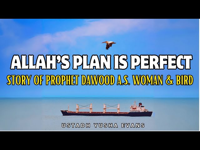 ALLAH’S PLAN IS PERFECT | Inspirational Story: Prophet Dawud A.S. Woman & Bird | Ustadh Yusha Evans