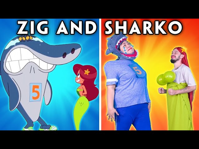 Zig Can Defeat Sharko? - Zig & Sharko WITH ZERO BUDGET | Hilarious Cartoon Compilation