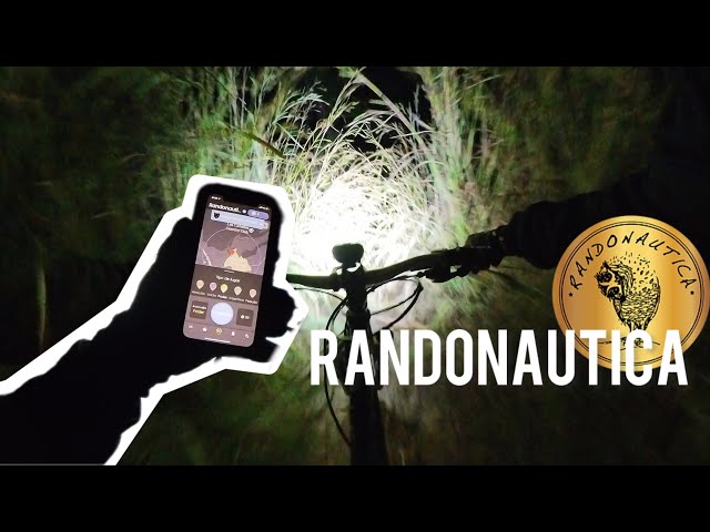 Rodando de Noche en el Bosque con Randonautica 🦉