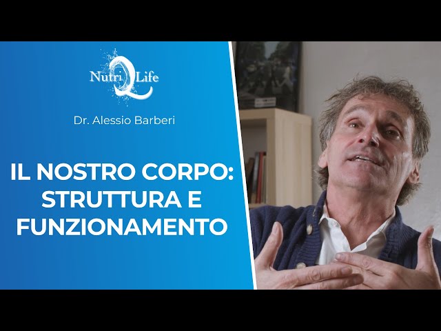 Il nostro corpo: struttura e funzionamento