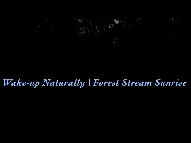 Wake Up Naturally | Forest Stream RELAXING Bird Sounds