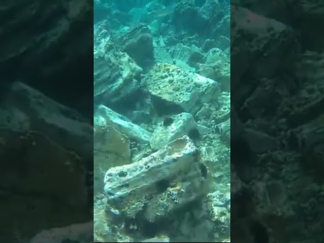 Tarihi Antik Kent Eski Foça’nın Su Altı Zenginlikleri Phokaia İzmir Türkiye 🇹🇷