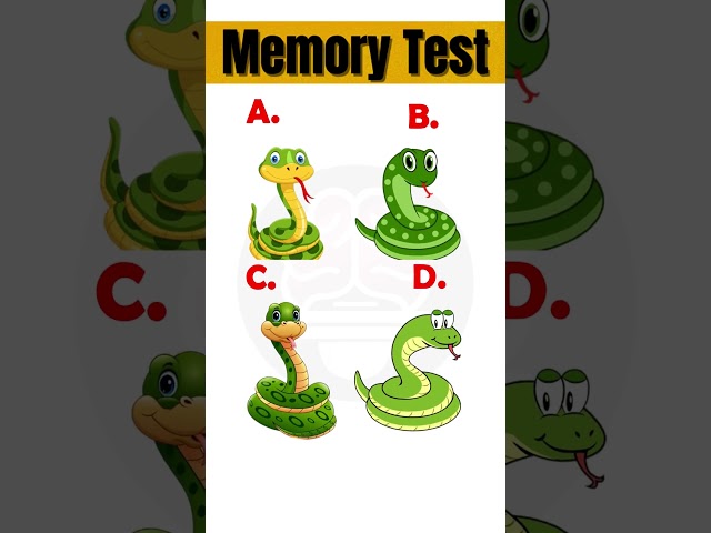 Memory Test Game #60 😎 😵 😀😎😵 #shorts #riddles #puzzle #gaming