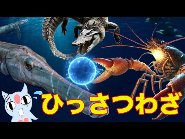 海の生き物のひっさつ技が凄すぎるよー！！！