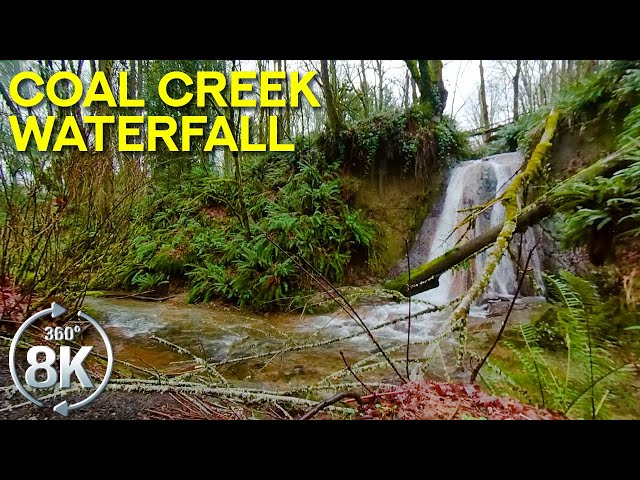 360˚ Journey to Coal Creek Waterfall Natural Area - 8K Virtual Relaxation of a Forest Waterfall