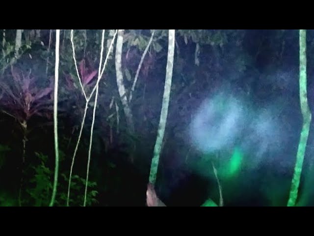 🔴LIVE MISTERI MALAM INI || DI SINI SERING TERDENGAR SUARA HANTU KUNTILANAK