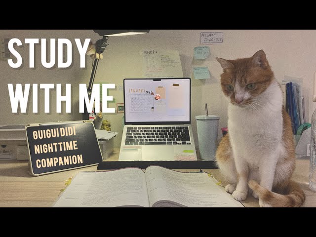 STUDY WITH Me ✨ | Med student and her cats 🐈 | 60/10