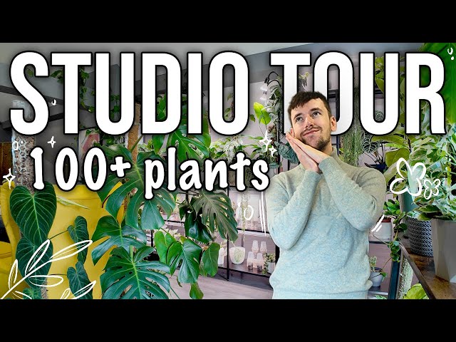 HOUSEPLANT TOUR FALL 2024 🌿 100+ plants 🪴