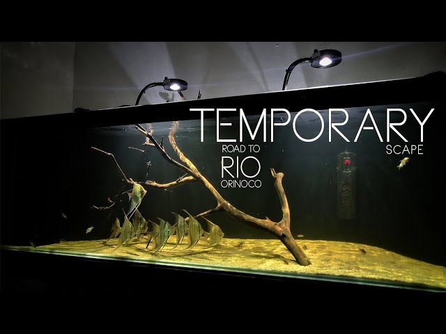 Temporary Scape - Rio Orinoco in Progress