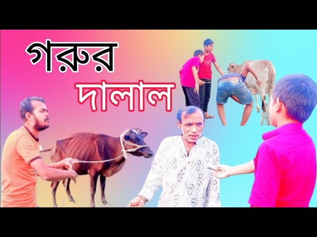 গরুর দালাল। Funny Bangla Official Drama। New Funny।