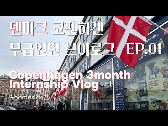 덴마크 3개월 인턴 브이로그 Denmark, Copenhagen internship Vlog