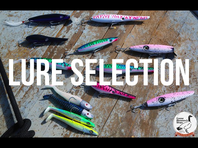 Lure Selection for catching Striped Bass!