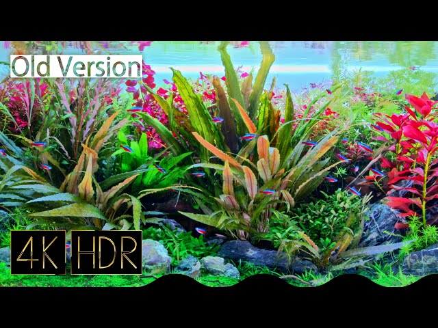 [Old Ver.] Beautiful Water Plant Aquarium Video • Fixed 3hours 4K HDR 60fps • Water sound ♯004