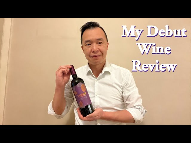 DEBUT Wine Vlog  ... Please go EASY on me Folks! | First Daily Vlog