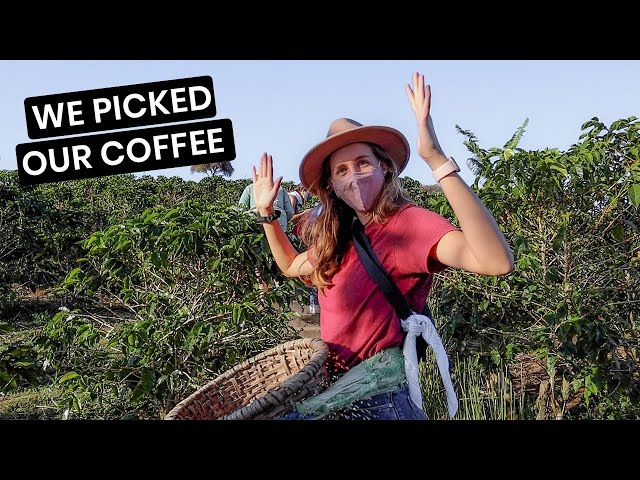 COFFEE FARM COSTA RICA - Starbucks Tour