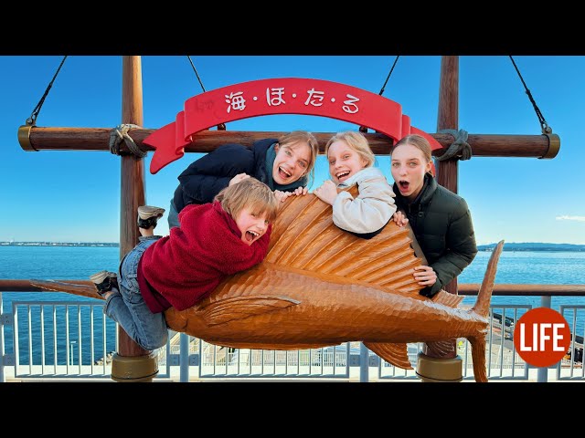 The Rest Area in the Middle of Tokyo Bay: Umihotaru 🛳️ Life in Japan EP 298