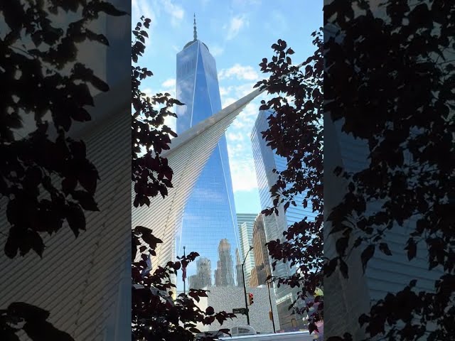 Beautiful Day For Pizza 🥰 | One World Trade Center | NYC