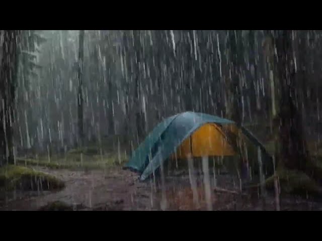 HEAVY RAIN ON TENT - FALL ASLEEP INSTANLY WITH HEAVY RAIN & THUNDER - SOUNDS EXPERIENCE zzzZZZzzz