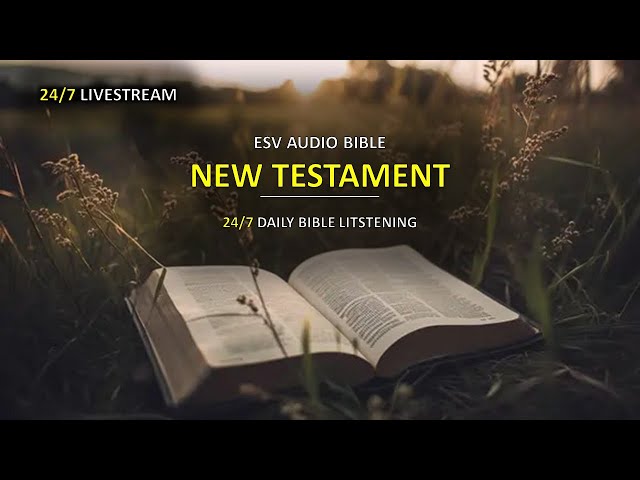 🔴 24/7 Cinematic Audio Bible LIVE - New Testament