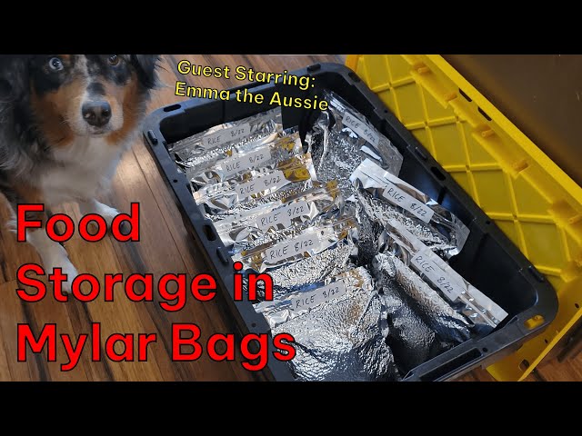 Vacuum Sealing Mylar Bags for Long-Term Food Storage (The Easy Method)