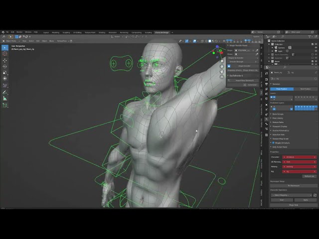 Reom Anatomical Mesh Explained