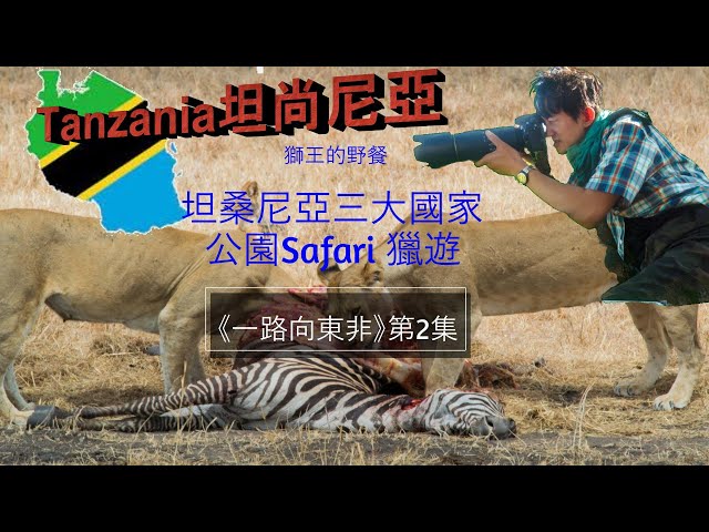 非洲坦桑尼亞Tanzania 三大國家公園Safari 獵遊│《一路向東非》第2集│Tarangire國家公園│火山公園Ngorongoro│Seragati國家公園│馬賽村莊買大糞│粵語有字幕