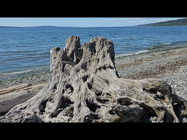 8K Video, Relaxing Beach Scene In Seattle