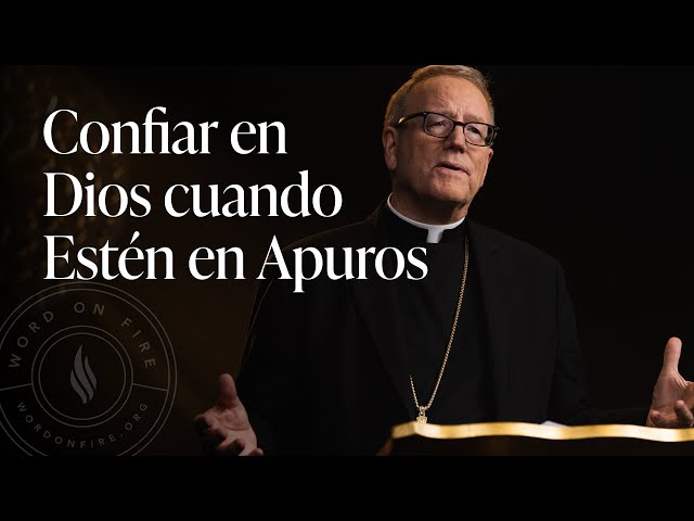 Confiar en Dios cuando Estén en Apuros — Sermón del Domingo del obispo Robert Barron