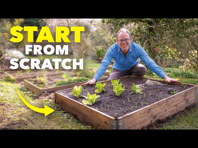 The Beginner Gardener’s Blueprint: No Experience Needed