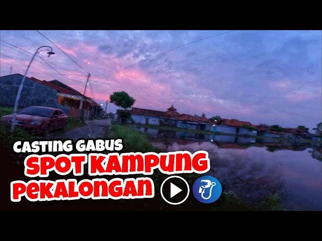 Casting Gabus Pekalongan II Cuma 5 Langkah dari Rumah Sudah Dapat Ikan