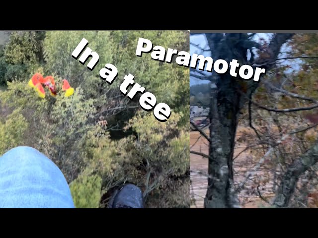 Full video...Motor out.. tree landing...  this is what happened... 2023