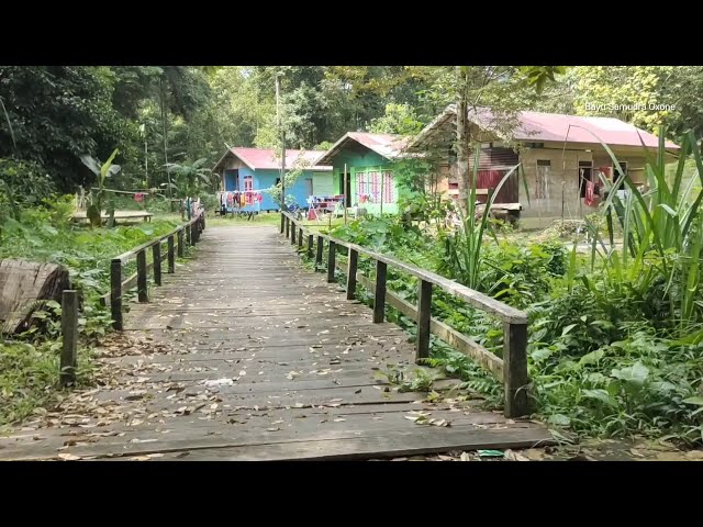 KAMPUNG DAYAK, MUSLIM, DI PEDALAMAN KALIMANTAN, DESA TEWANG PAPARI, KEC PULAU MALAN, KAB KATINGAN