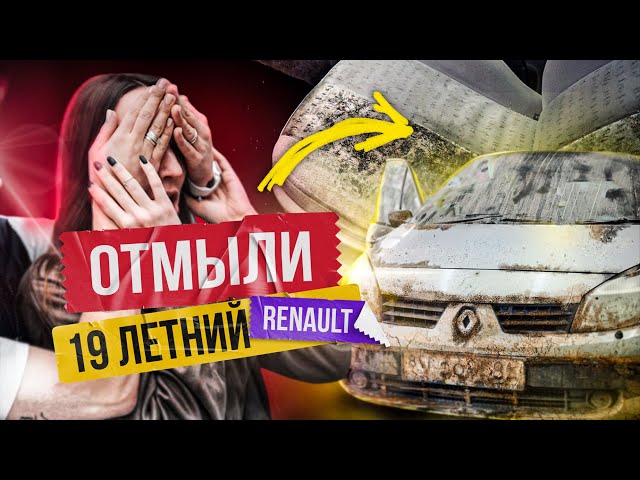 МОЙКА И ХИМЧИСТКА УБИТОГО RENAULT SCENIC! Владелец в шоке