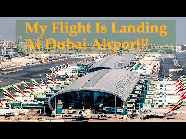 My Flight ✈️ Is landing At The Dubai Airport UAE 🇦🇪!!