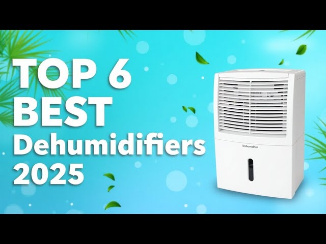 ✅6 Best Dehumidifiers of 2025 – Ultimate Moisture Control for Your Home!