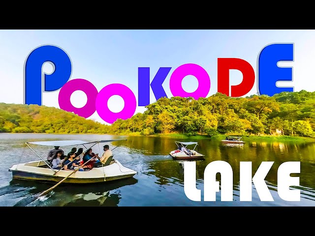 A family trip to POOKODE LAKE -  Highest altitude freshwater lake in Kerala