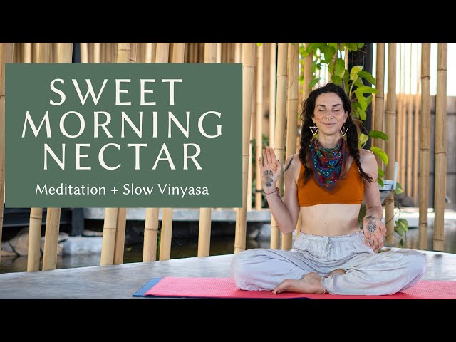 Sweet Morning Nectar: Nourishing Slow Vinyasa Yoga