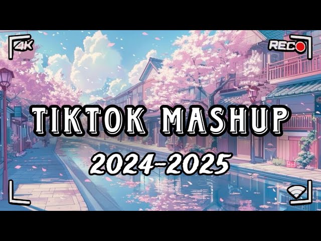 Tiktok Mashup (2024-2025)