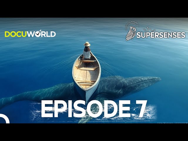 Meet the Giants of the Natural World! | Super Senses Episode 7: Superhuman Senses