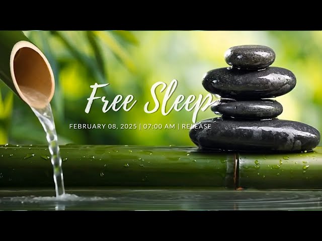 Calming Music for Insomnia Relief: Bamboo Water Sounds, Stress-Free Sleep, Relaxation & Serenity