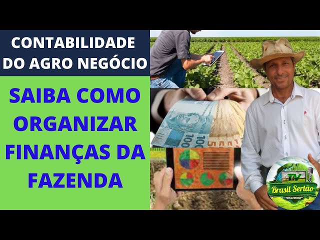 CONTABILIDADE DO AGRO NEGÓCIO/ SAIBA COMO ORGANIZAR FINANÇAS DA FAZENDA.